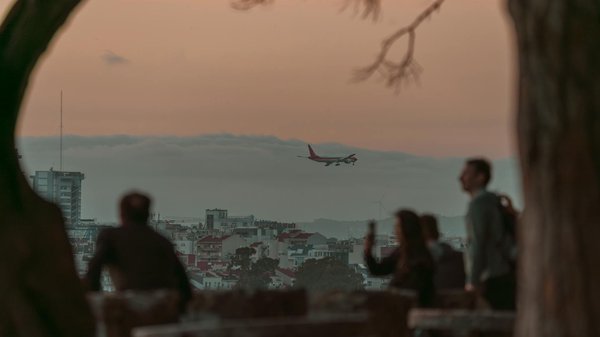 Quels sont les meilleurs spots pour observer les pandas en Chine?