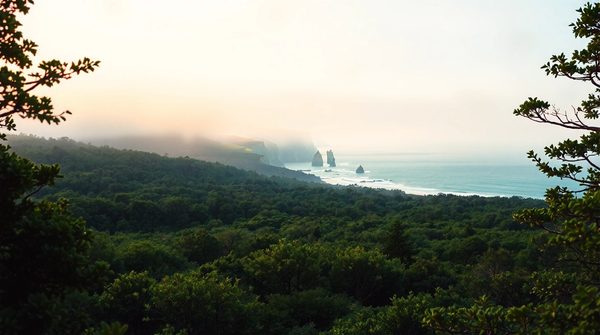 Camping en bretagne : votre évasion entre plages et forêts !