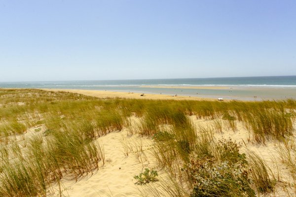 Où faire de l'équitation sur la plage en Californie, USA?